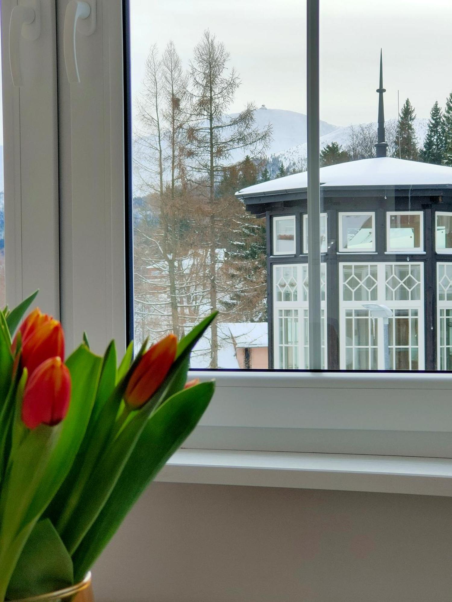 2-poziomowy Uroczy Widok * Karpacz